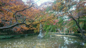紅葉狩り 画像3