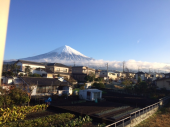 体動かした　今朝霜降りた 画像1