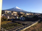 体動かした　今朝霜降りた 画像2