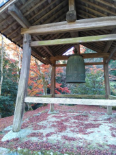 紅葉 画像2