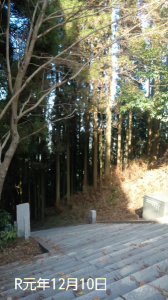 石段　53回目 画像2