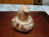 でっかーいしいたけッ∑(๑ºдº๑)!! 画像2