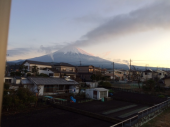 親と分かるのはいつから？ 画像1