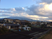 孫を思う 画像1