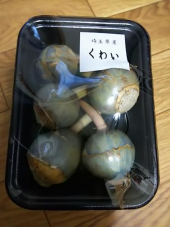 no title 画像1