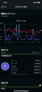 静かな大晦日 画像2
