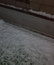 初雪