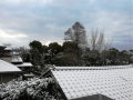 雪は降ったけど