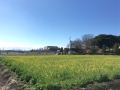 200315　サイクリング