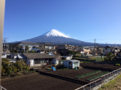 2年前の写真が・・ 画像2