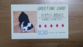 我が家のわんこも弱ってしまった。 画像1