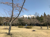 子供3人が集まる 画像2