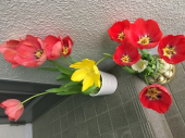 200328　花見サイクリング 画像3