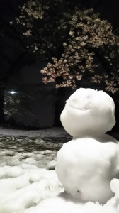 夜桜と雪だるま♪ 画像1