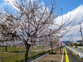 no title 画像1