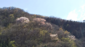 ２０２０/４/１０/買い出し 画像2