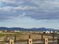 土曜　朝　6時♪