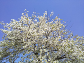 土曜　朝　6時♪ 画像3