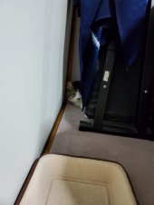 エタノールやはりなかった 画像3