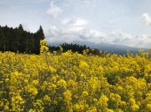田貫湖一周 画像2
