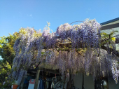 走れない・・・♪ 画像3