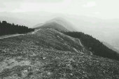 野焼き後の岩湧山カヤト 画像1