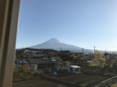 岡江さんショック 画像1