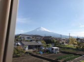 お茶で活力 画像1