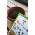 モスの種♪