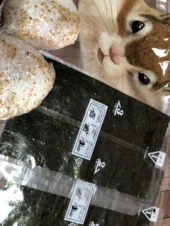 おにぎり 画像1
