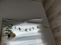 吊り下げ鉢をDIY