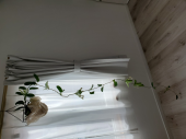 吊り下げ鉢をDIY 画像2