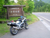 朝駆け 画像1