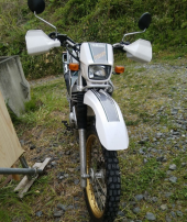 新しい相棒 画像1