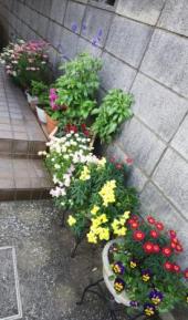 チキンタッタッタ～♪ 画像2