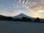 これからどうなる 画像1