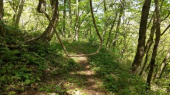 今日は出勤停止になった 画像1