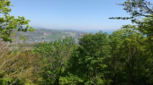今日は出勤停止になった 画像2