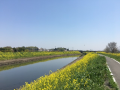 200524　川を越えて