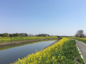 200524　川を越えて 画像1