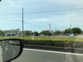 私は様子見ます 画像1