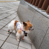 ☆Open Sesame☆ 画像1