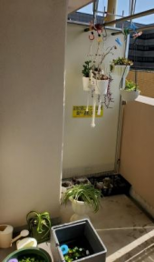 昨日の続き 画像2