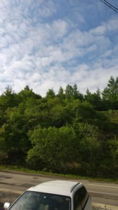 徒歩通勤再開 画像1