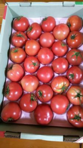 スギナ と 10万円ヽ(*´▽)ノ♪ 画像1