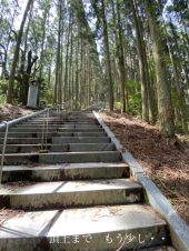 石段64回目 画像2