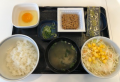 6月20日（土）