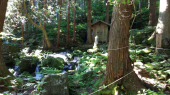 胴腹の滝 画像1