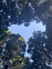 石段　66回目 画像1