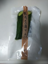 浄水器 と ミニトマト移植